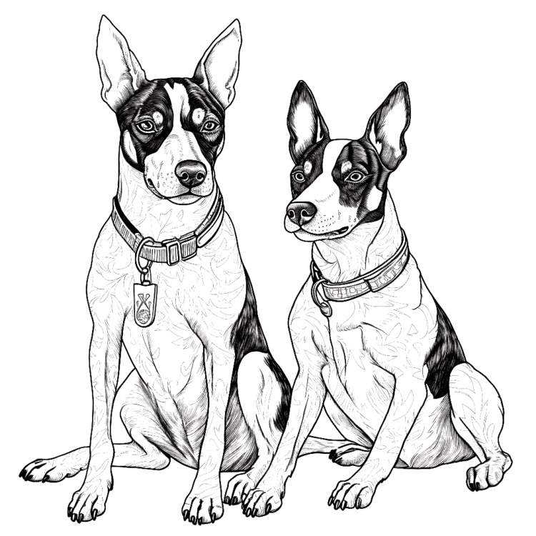 Dibujo para colorear Doberman