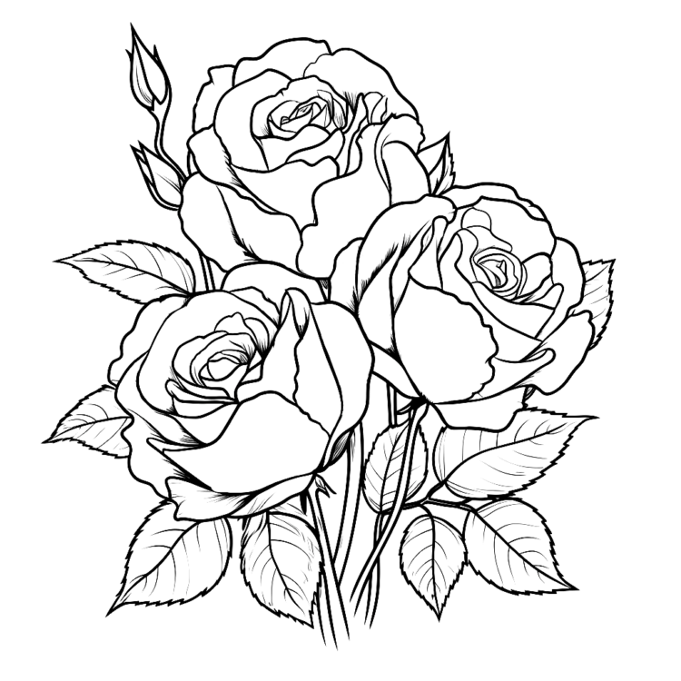Coloring picture Three Roses