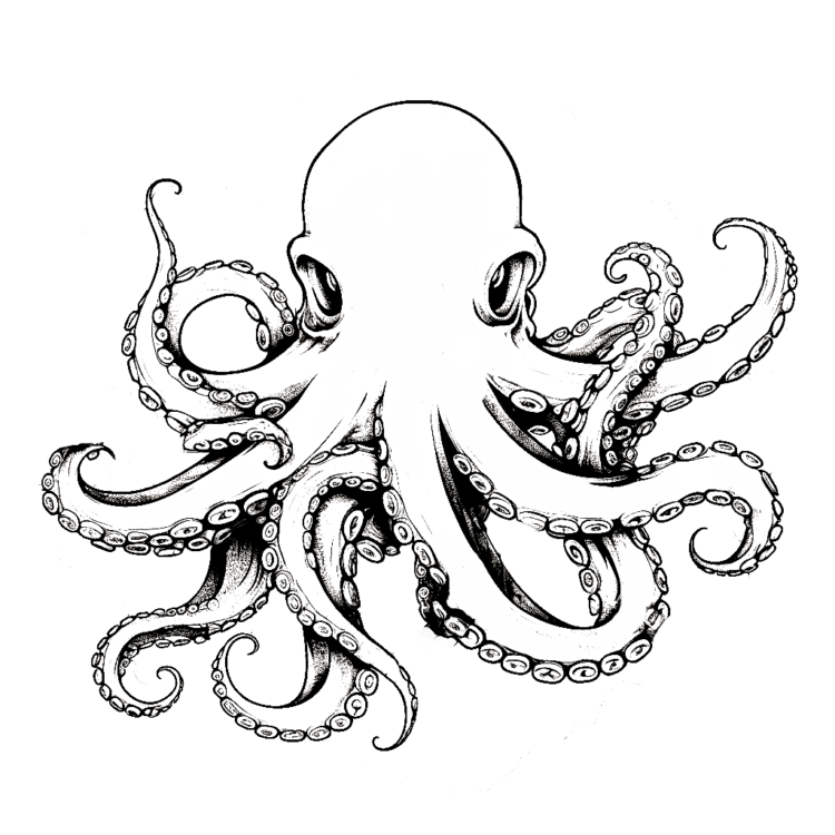 Octopus coloring page