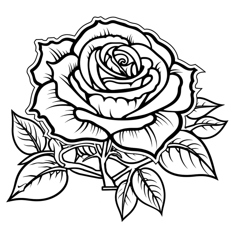 Dibujo para colorear rosa