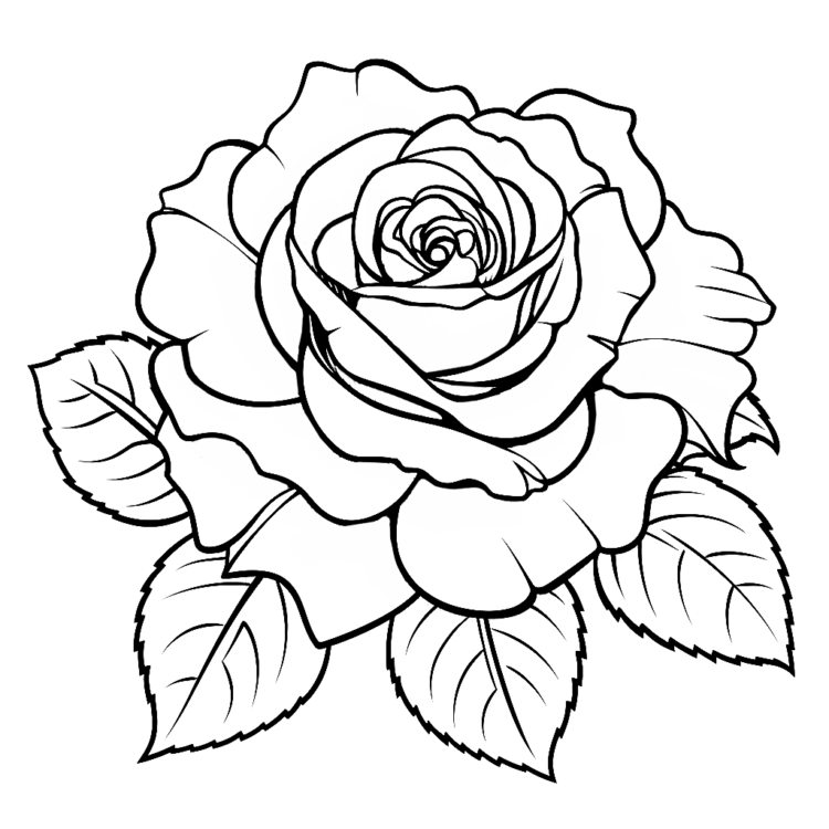 Ausmalbild Wunderschöne Rose
