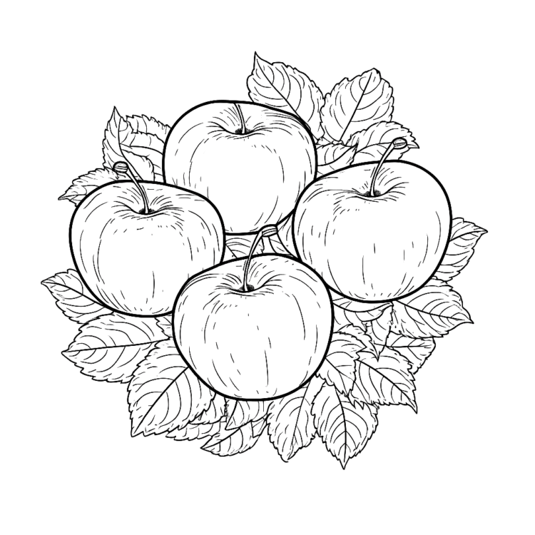 Dibujo para colorear manzanas sobre hojas