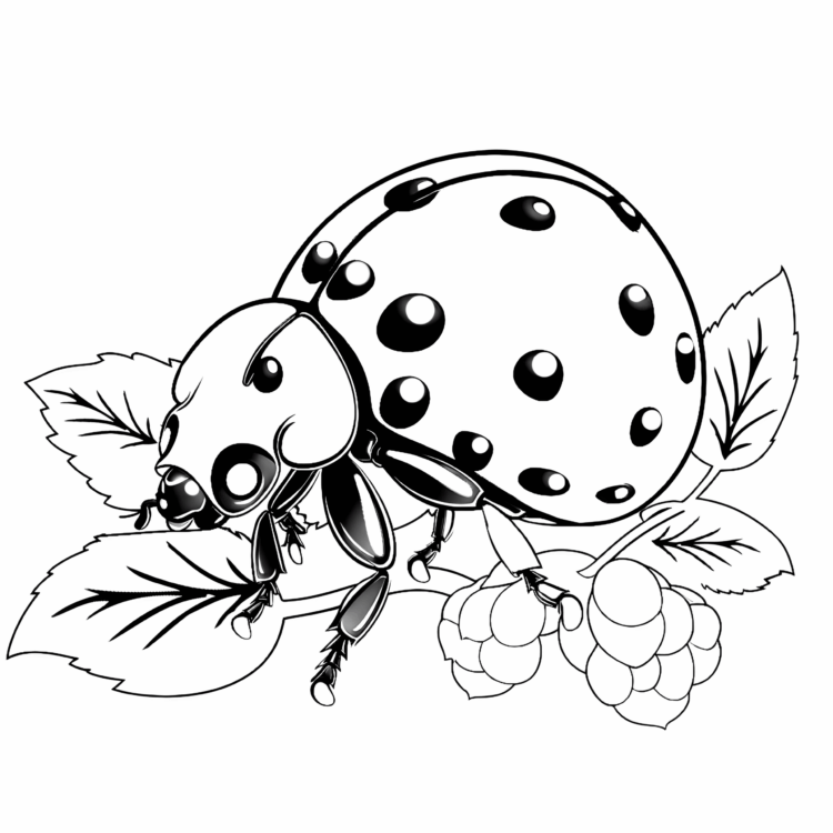 Spotted crawler coloring page