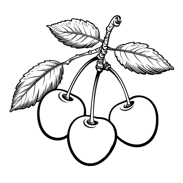 Ausmalbild Mittel Kirschen