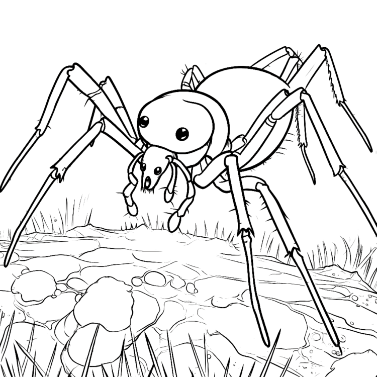 Sleepy spider coloring page