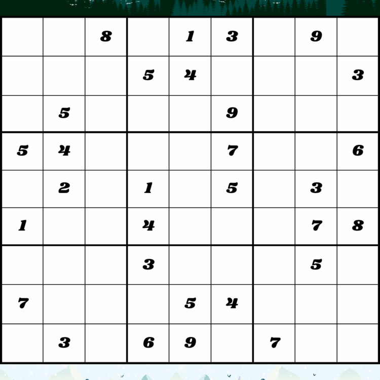 Winter Sudoku
