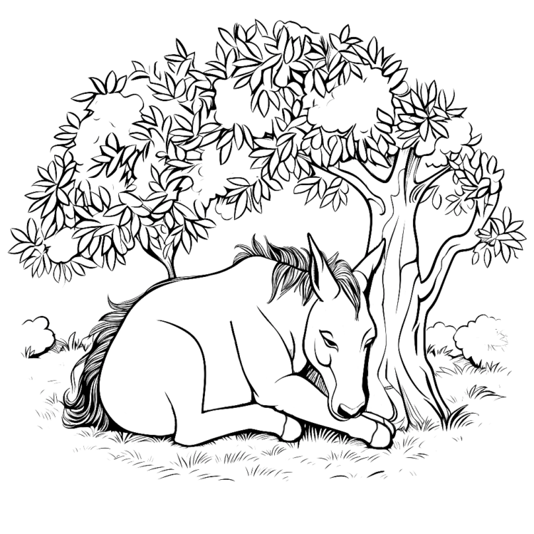 Peaceful donkey coloring page