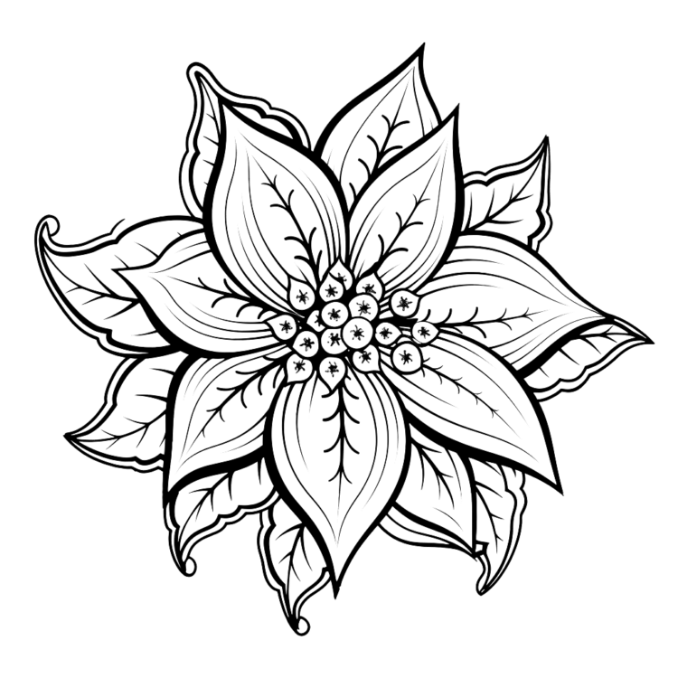 Ausmalbild Weihnachtsblume