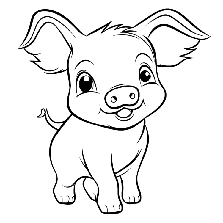 Coloring picture adorable little pig