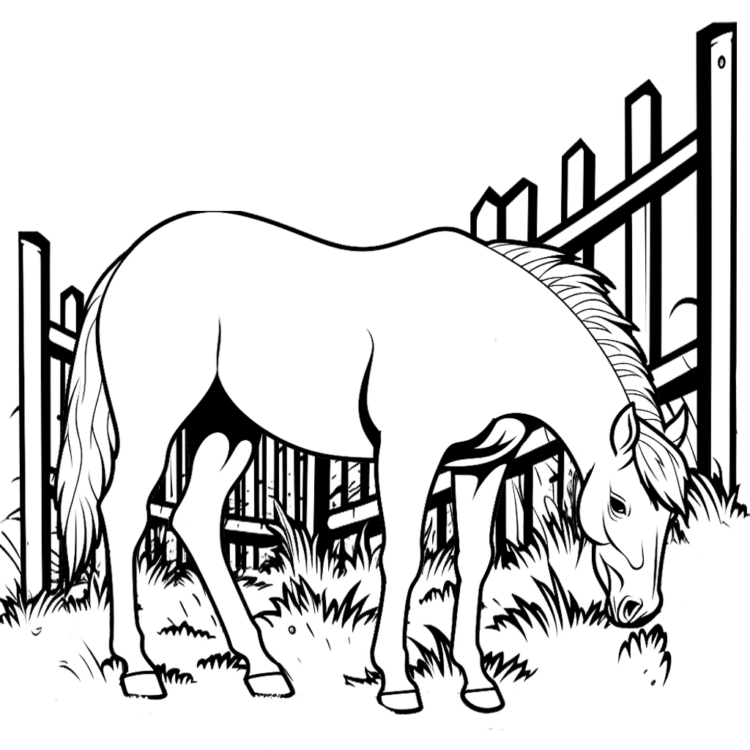 Dibujo para colorear caballeriza majestad