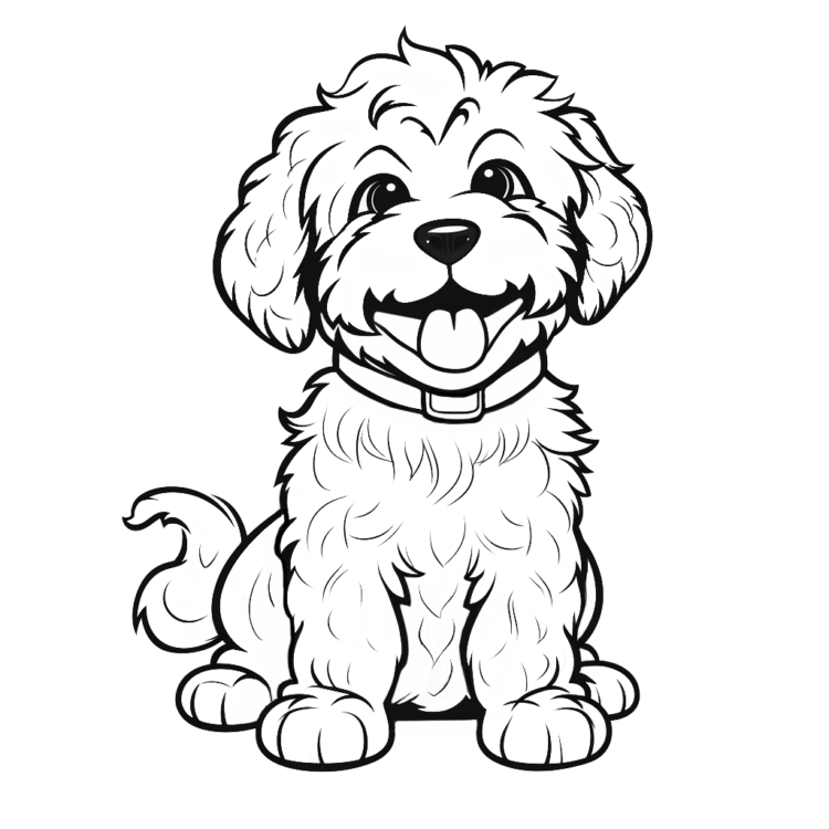 Ausmalbild Niedlicher Lagotto Welpe