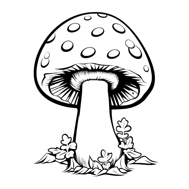 Coloring picture mushroom