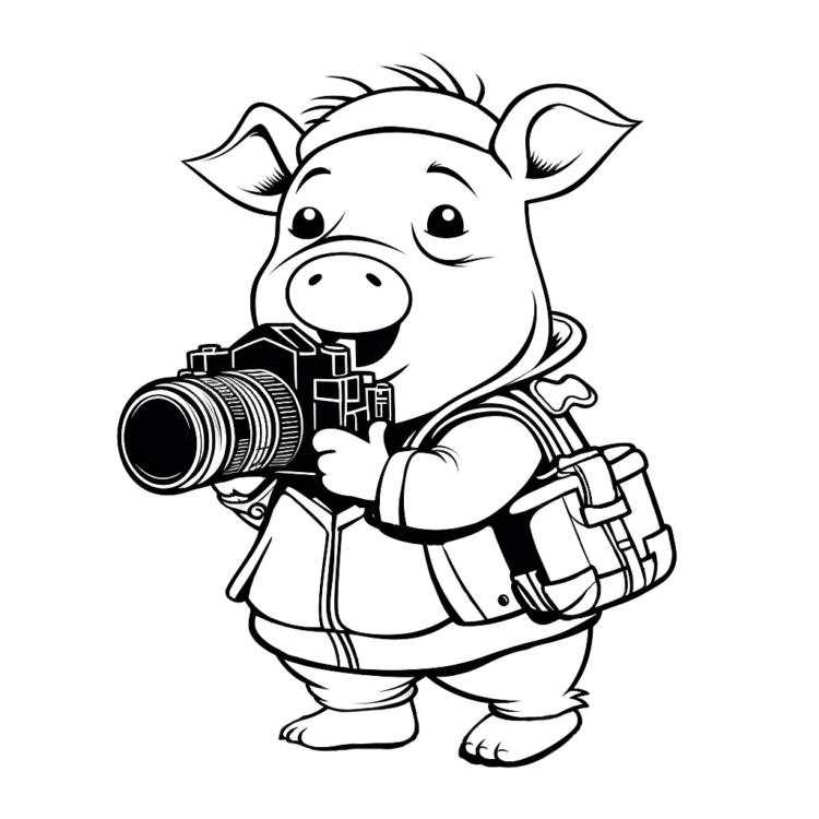 Coloring picture pig and camera