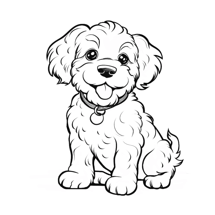 Playful Lagotto puppy coloring page