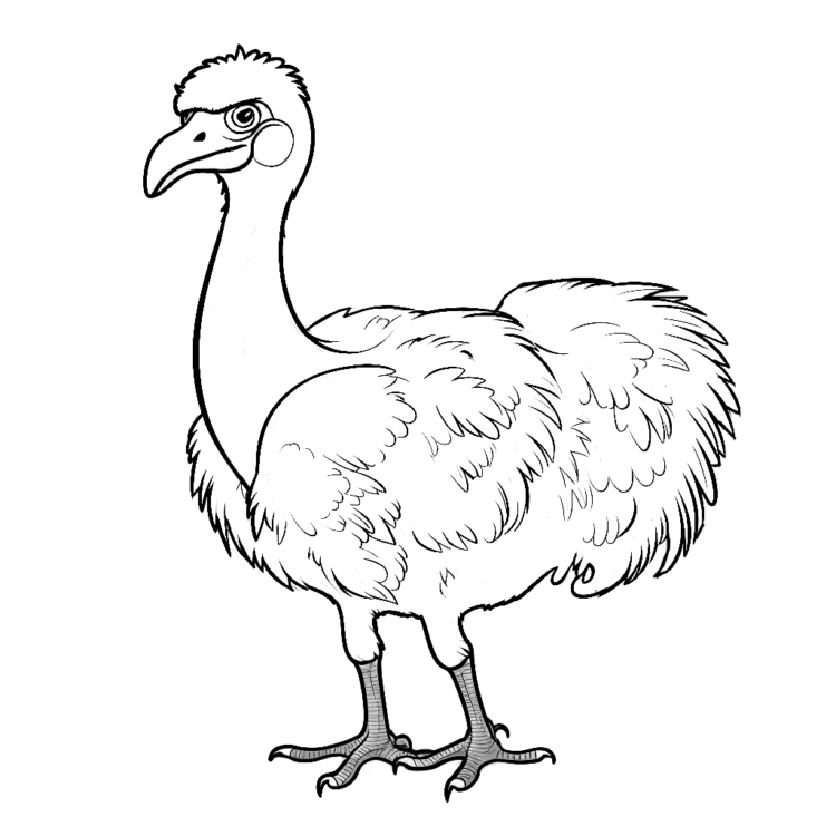 Coloring picture Graceful ostrich