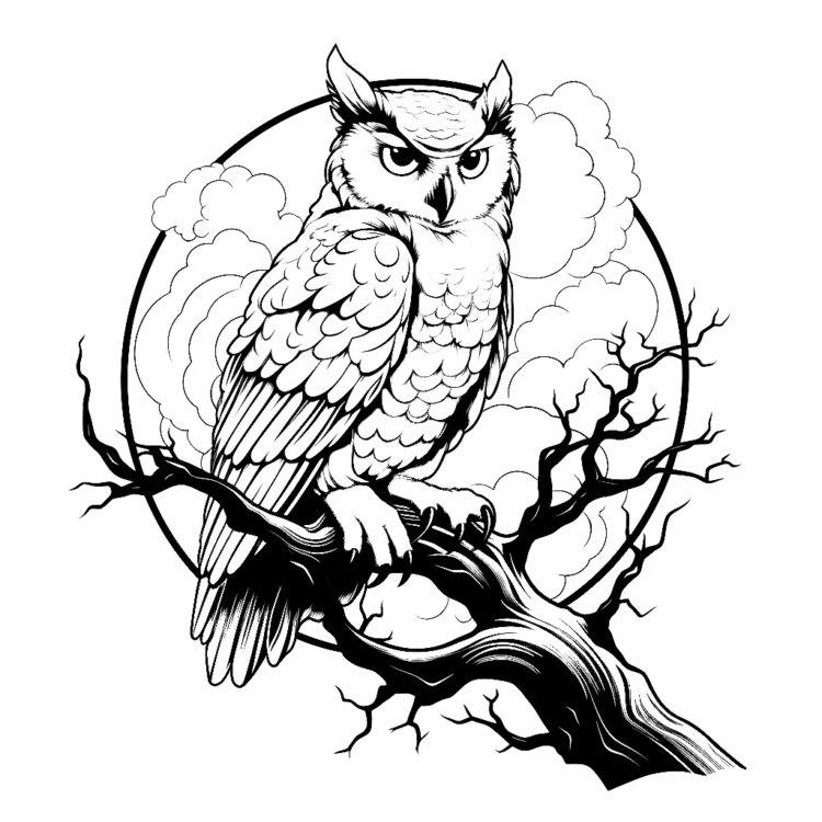 Coloring picture moonbeam owl