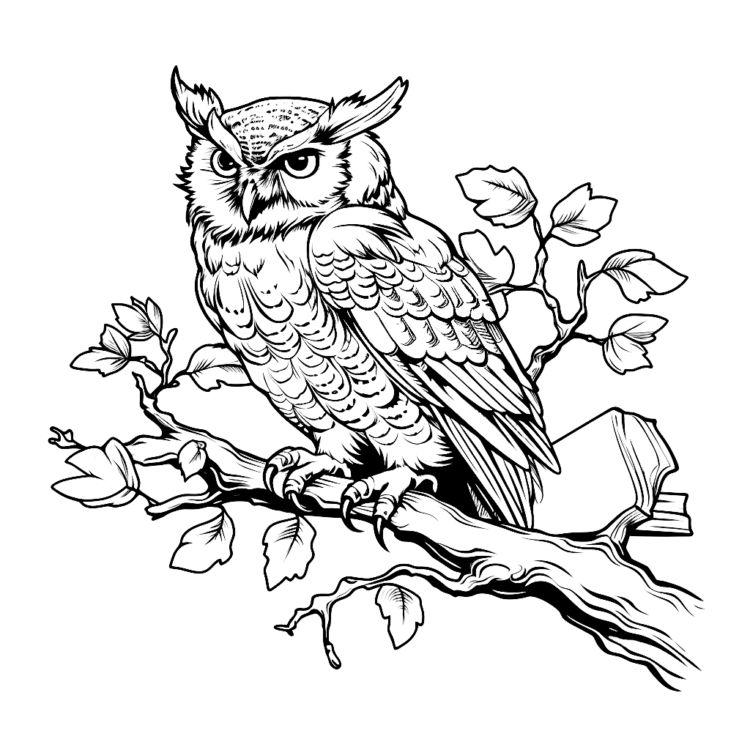 Dibujo para colorear Búho Águila Crepuscular