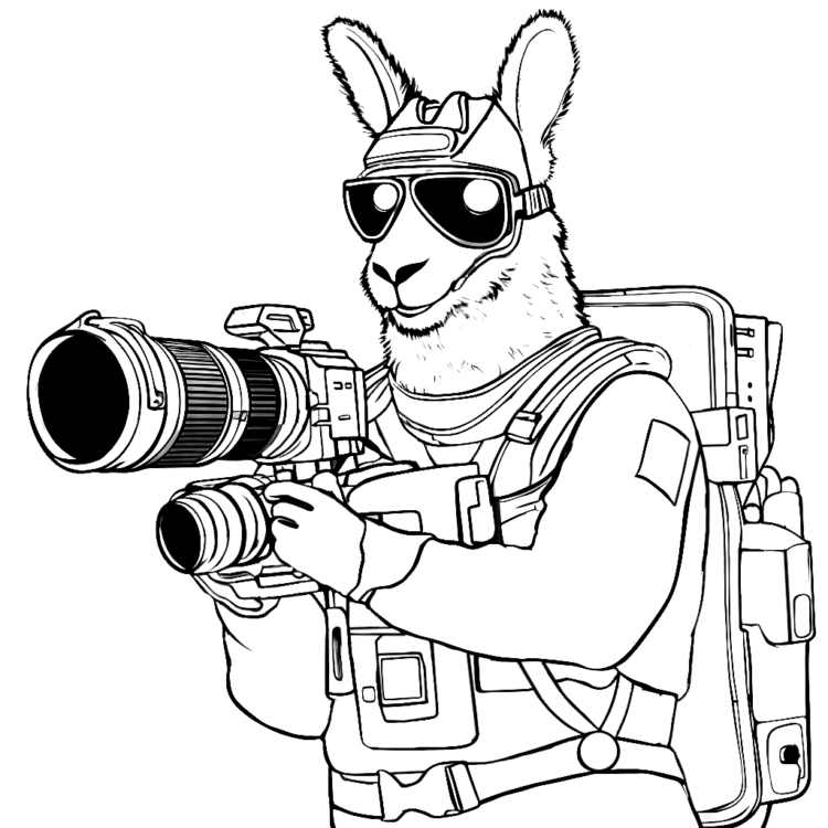 Coloring picture photographer llama