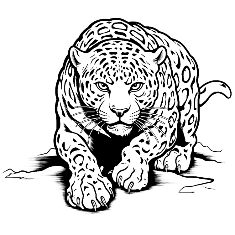 Ausmalbild Jaguar Malvorlagen