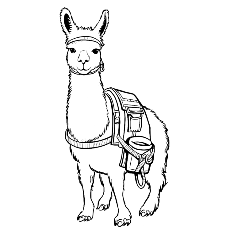 Dibujo para colorear de una llama joven