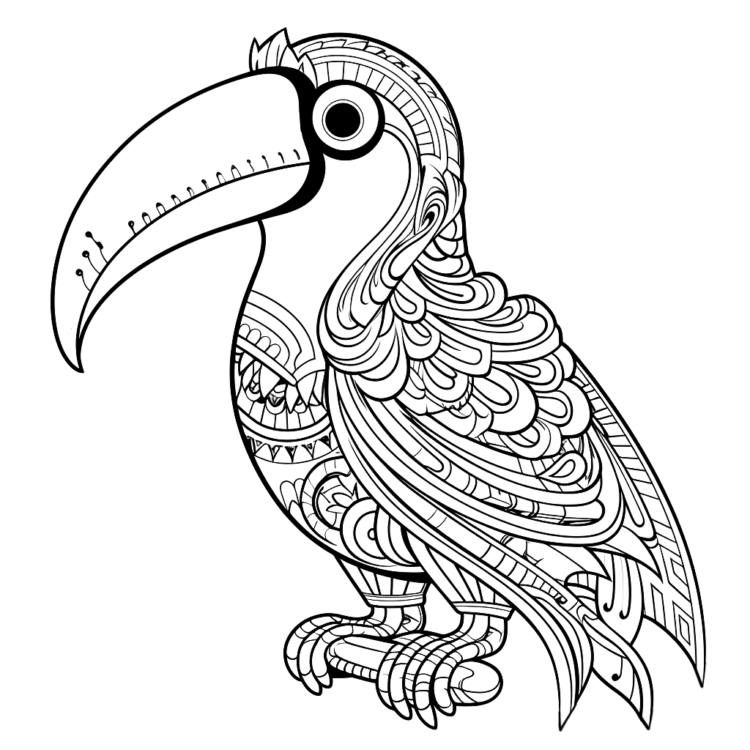 Dibujo para colorear tucán explorador costero