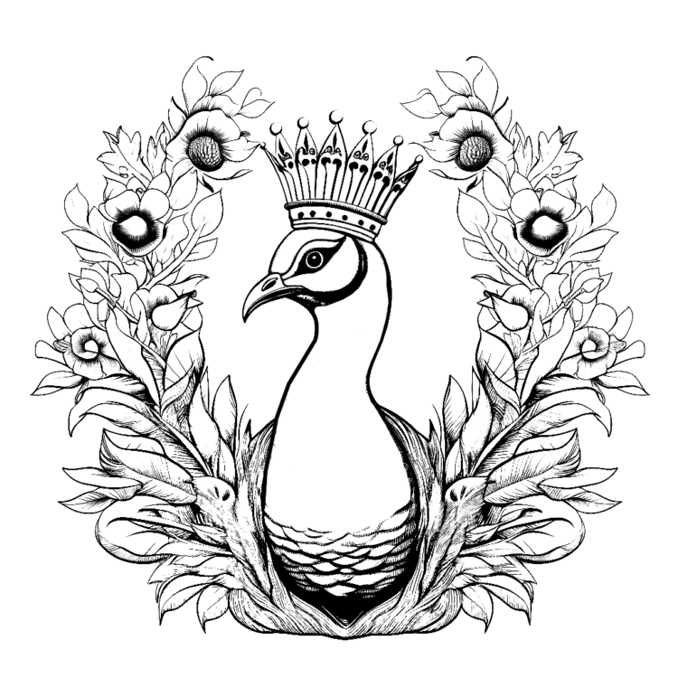 Dibujo para colorear pavo real majestuoso
