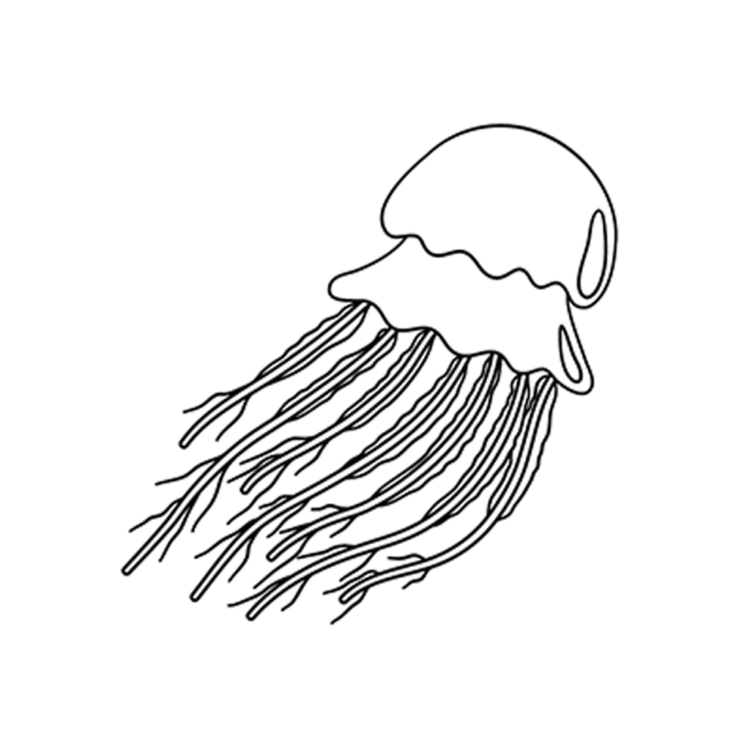 Coloring picture underwater jellyfish