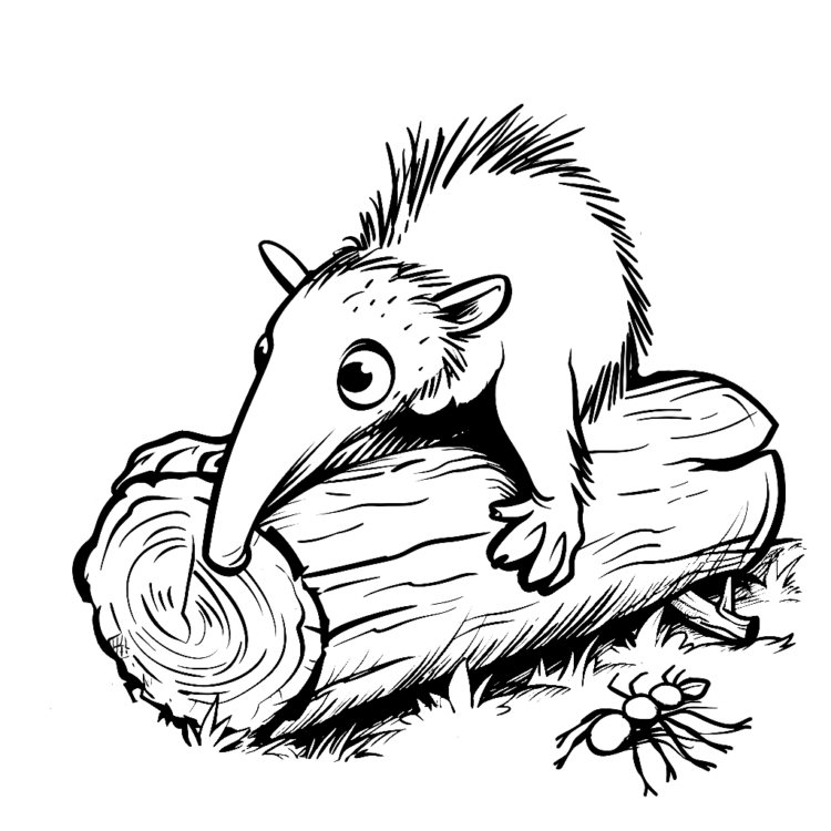 Ausmalbild Waldforscher Ameisenbär