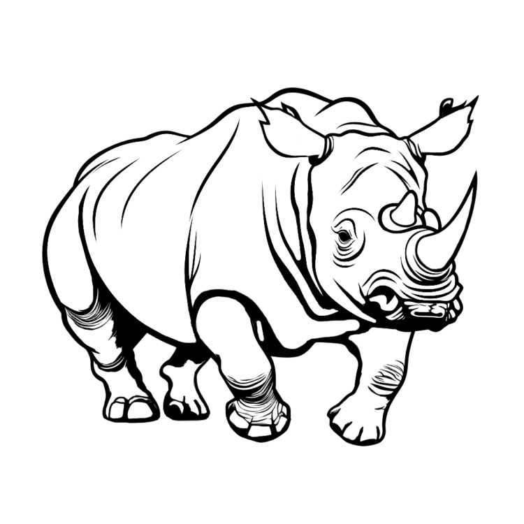 Coloring picture forest explorer rhinoceros