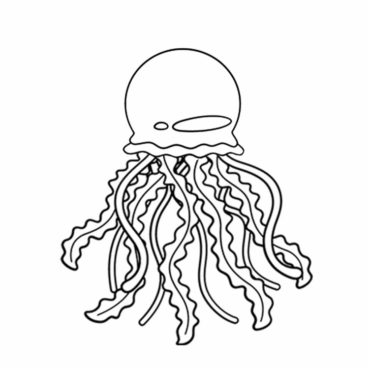luminous jellyfish