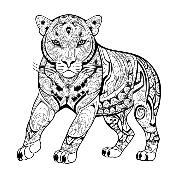 Jaguar Malvorlage
