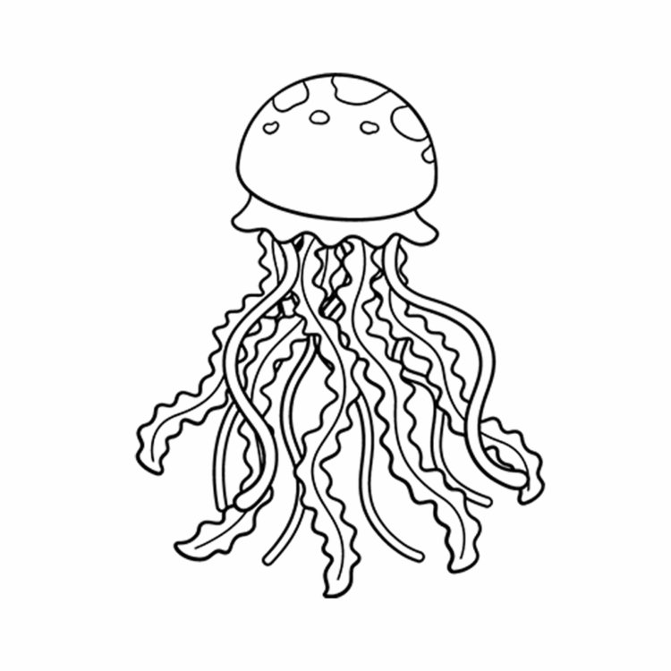 Jellyfish coloring page