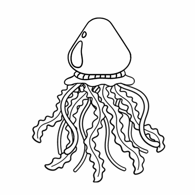 Jellyfish coloring pages