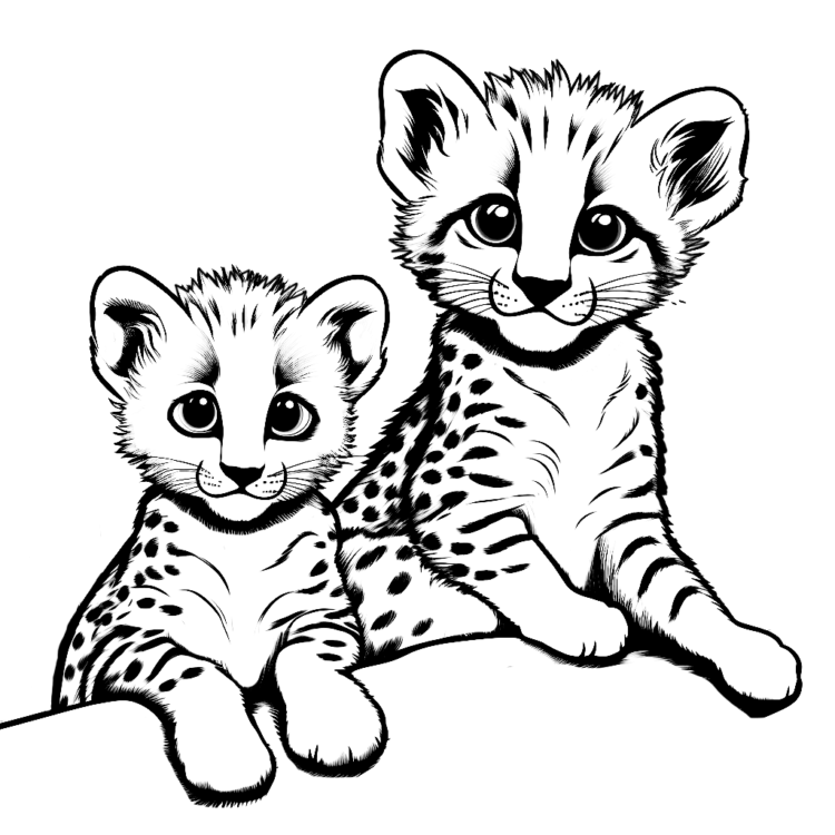 Dibujo para colorear de Guepardo