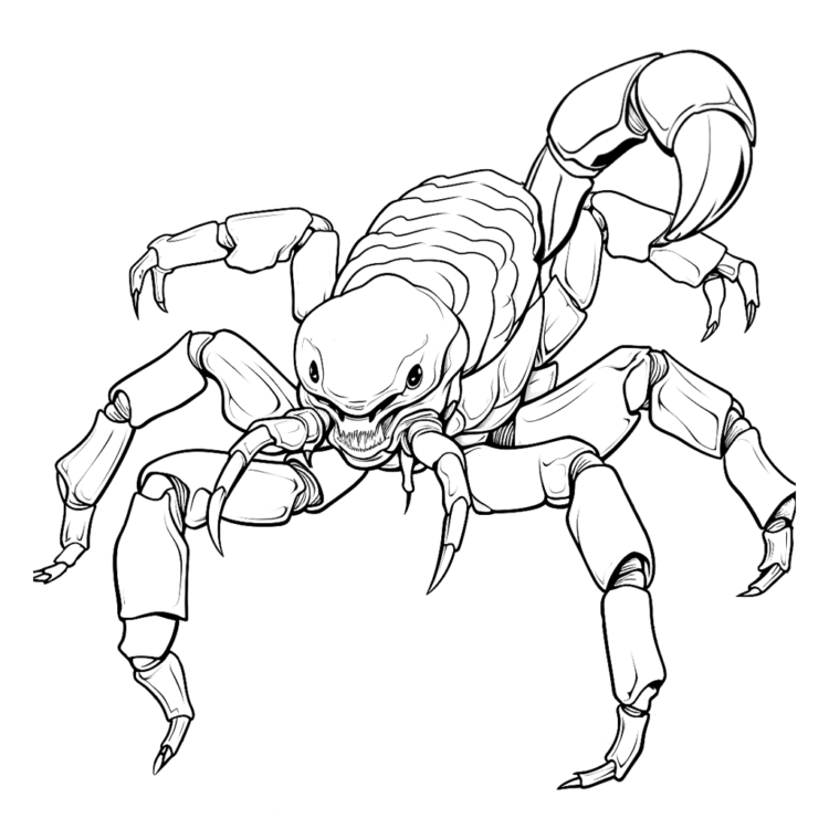 Ausmalbild Großer Skorpion