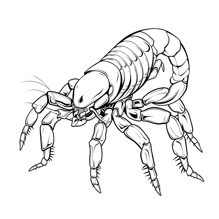 Ausmalbild Schattenjäger Skorpion