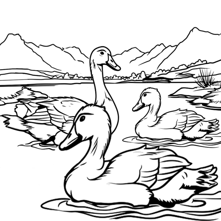 Coloring picture Swimming flock of goose
