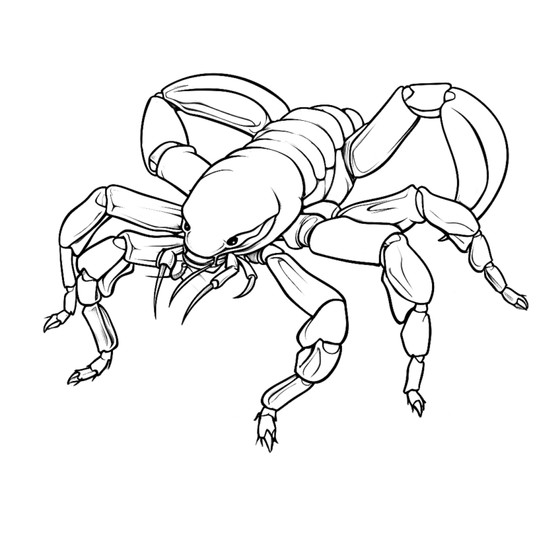 Dibujo para colorear cueva del escorpión