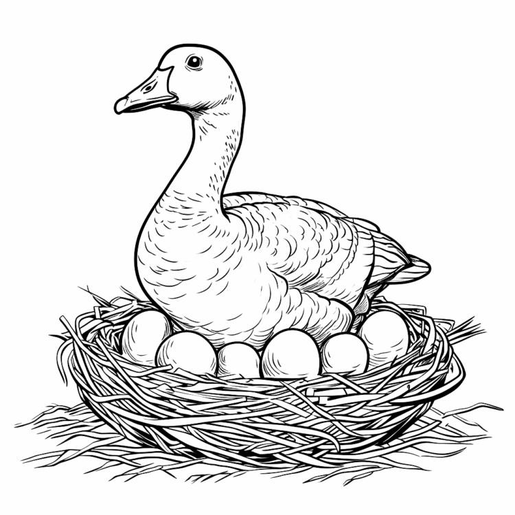 Goose coloring page
