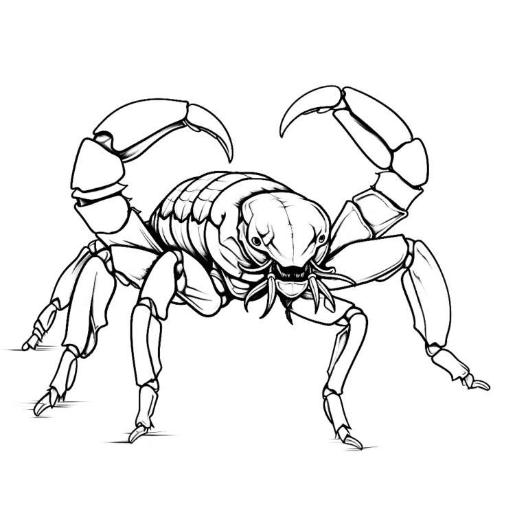 Skorpion Malvorlage
