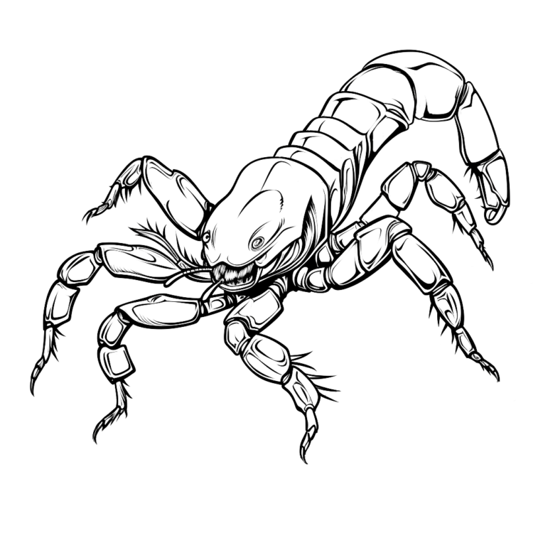 Skorpion Malvorlagen