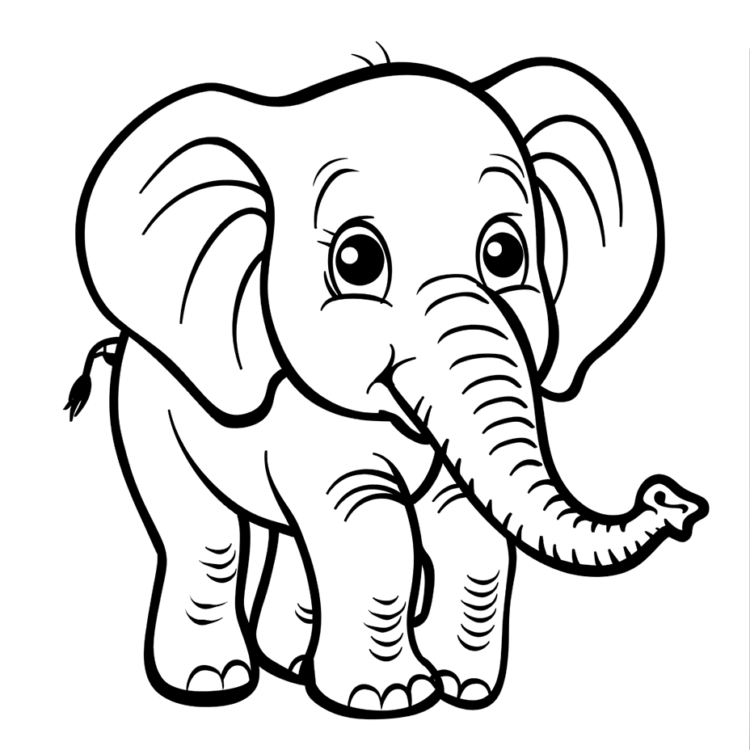 Paint elephant