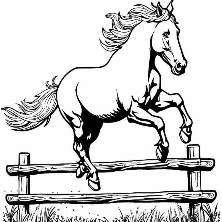 Horse pictures