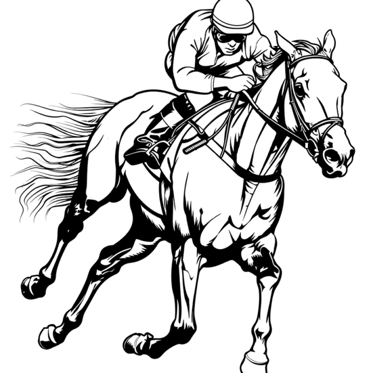Horse pictures