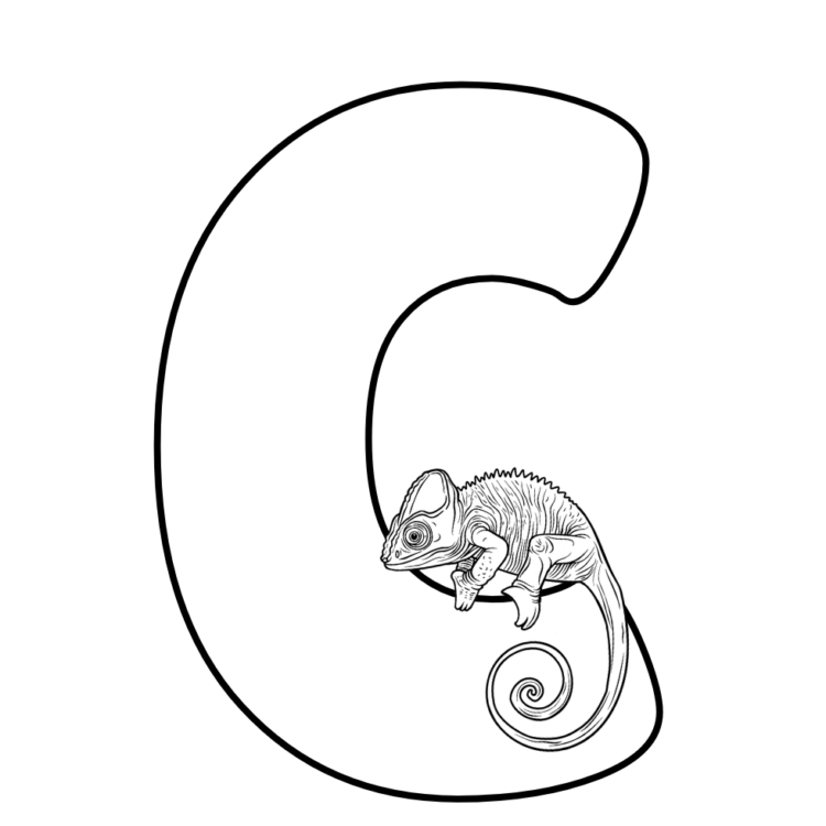 Ausmalbild Buchstabe C