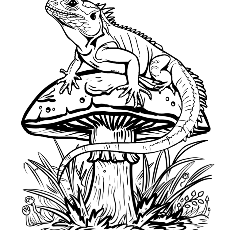 Coloring picture Energetic lizard