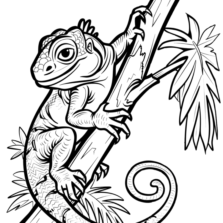 Smiling lizard coloring page