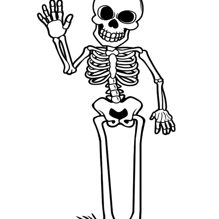 Skeleton coloring page to print out