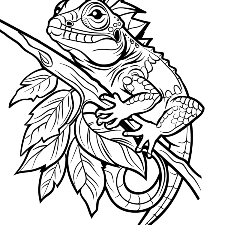 Download Lizard free of charge