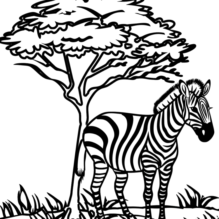 Ausmalbild Dschungel-Zebra
